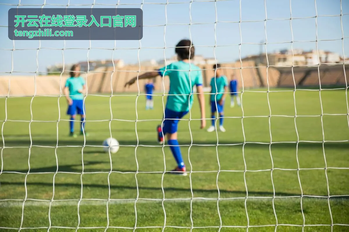 开云在线登录入口官网浏览器与设备准备建议