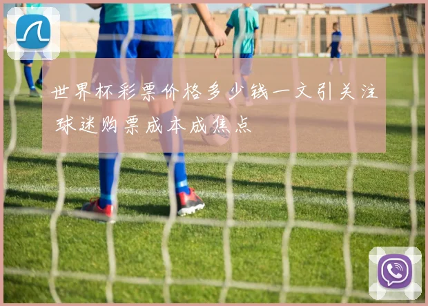 世界杯彩票价格多少钱一文引关注 球迷购票成本成焦点