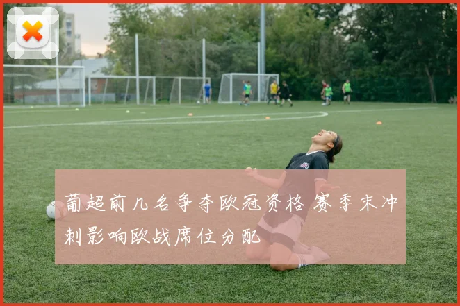 葡超前几名争夺欧冠资格 赛季末冲刺影响欧战席位分配
