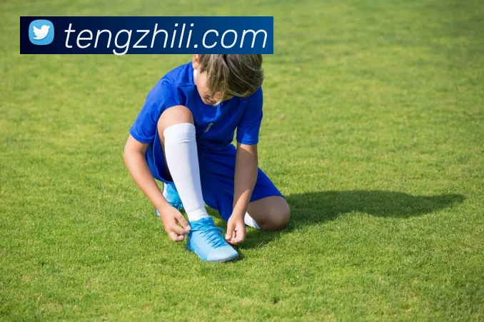 爱游戏官网ayx平台生态图